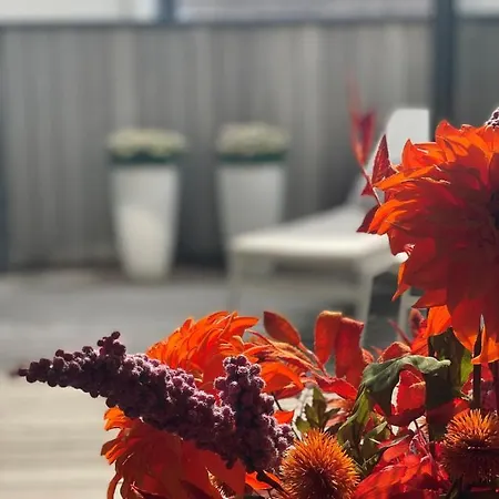 Square50 Boutique Apartamento *