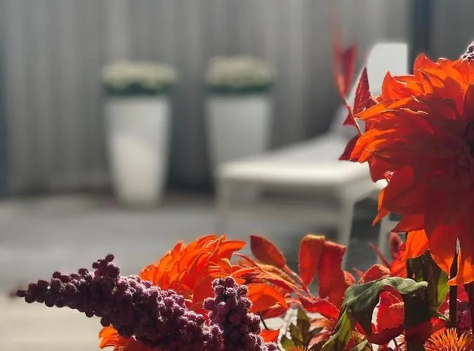 Square50 Boutique Apartment *